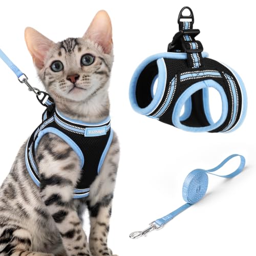 Cat Harness and Leash Set (XL / Black & Light Blue)