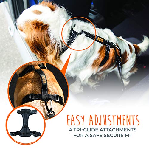 Dog Car Harness (Large / Black)