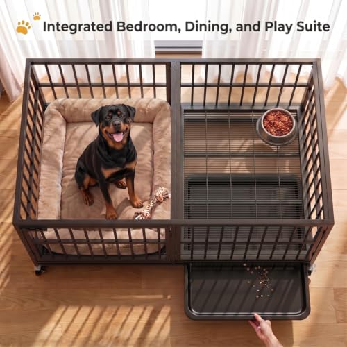 54 Inch Heavy Duty Dog Crate Cage with Divider (Black)