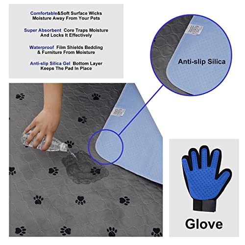 Washable Pee Pads for Dogs + Free Puppy Grooming Gloves (36x41 Inch (Pack of 2))