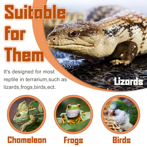 Reptile Corner Hunting Bowl (Right Angle Feeding Bowl / Small)