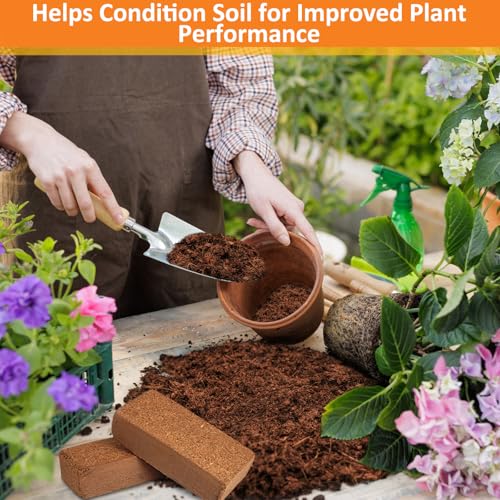 4 Pack Coco Coir Bricks for Plants (4 Pack)