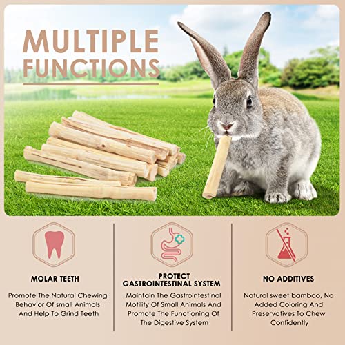 145g 0.3Ib Sweet Bamboo Chew Sticks for Rabbits (4.8 Ounce (Pack of 1))