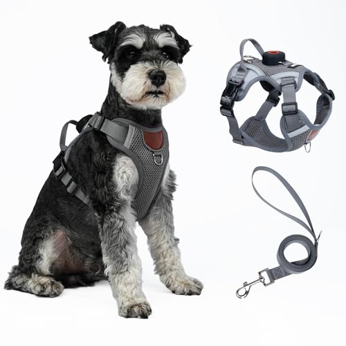 Harness and Leash Set with AirTag Holder for Large Cat Small Dog (Grey (Holder for Airtag) / XL)