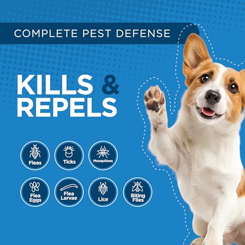 Activate II Flea and Tick Prevention for Medium Dogs (Medium)