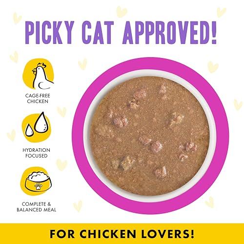 B.F.F. OMG Best Feline Friend Oh My Gravy! (2.8 Ounce (Pack of 12))