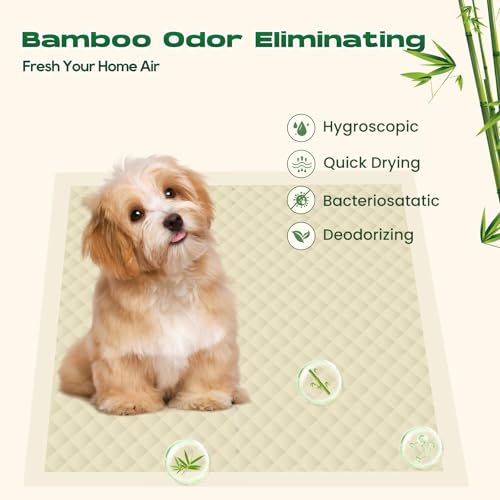 Bamboo Small Puppy Pads Pee Pads for Dogs 22"x22" 100 Count (22 x 22 inches (100 Count))