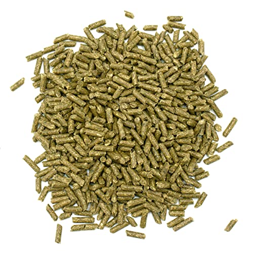Essentials Senior Guinea Pig Food (4 Pound (Pack of 1))