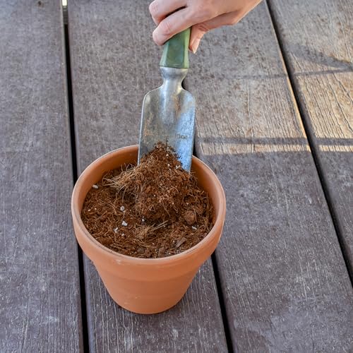 Tropical House Plant Potting Mix (2 Quarts)