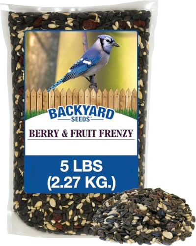 Backyard Seeds 5LB Berries 'N Fruit Bird Seed Mix (Berries & Fruit / 5 Pound (Pack of 1))