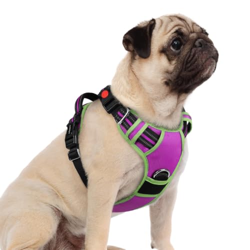 Dog Harness Small Sized (Purple & Light Green / Small)