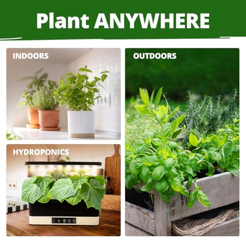 15 Culinary Herb Seeds