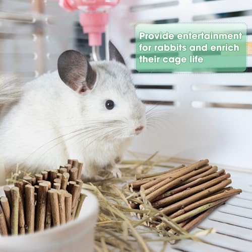 1 LB (16oz) Natural Apple Wood Chew Sticks for Rabbits, Hamsters, Chinchillas - Extra Hard Teeth Grinding Toy | Untreated, Safe & Long-Lasting Rodent Chews