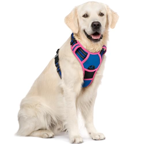 Dog Harness No Pull for Large Dogs with 2 Leash Clips (X-Large / Blue & Hot Pink)