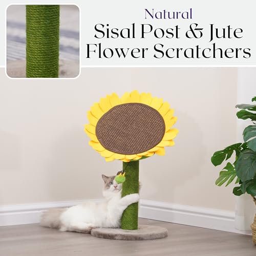 Sunflower 2 in