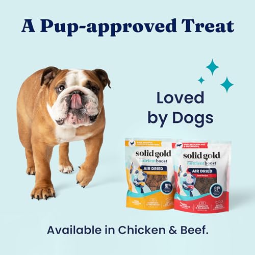 Air Dried Dog Food Topper & Treats for Picky Eaters (1 Pound (Pack of 1))