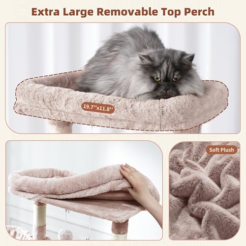 Cat Tree 63'' Cat Tower for Large Cats (63 inch / Muchroom)