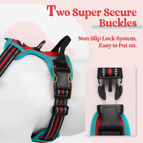 Dog Harness No Pull for Large Dogs with 2 Leash Clips (Large / Red & Teal)