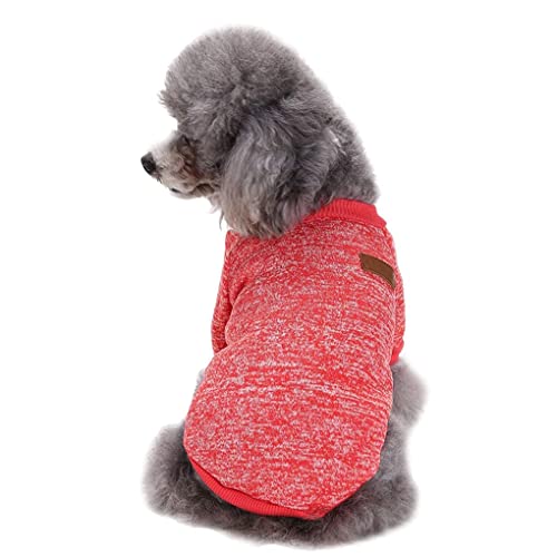 Dog Sweaters for Small Dogs (Red / XX-Small)
