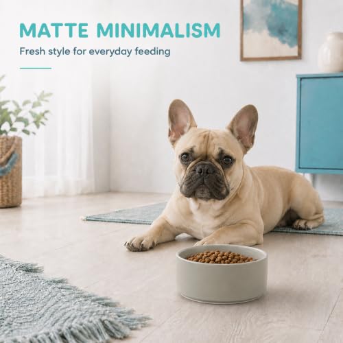 Ceramic Dog Bowls (Matte Gray)