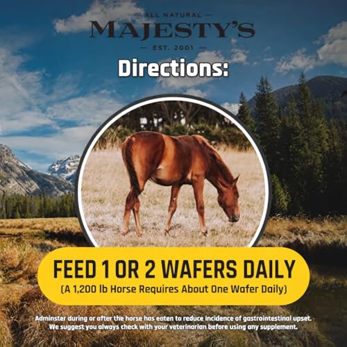 Flex HA Wafers (60 Count (2 Month Supply))