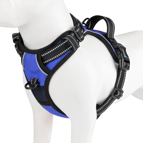 No Pull Dog Harnesses for Small Puppies Reflective Adjustable Front Clip Vest with 2 Metal Leash Attachment Hooks Soft Handle [Over The Head Design] (Small / Royal Blue)