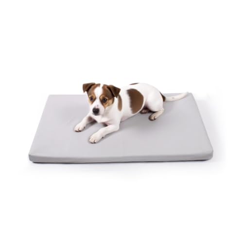 Dog Mat 19"x 30"Dogs Crate Pad (30"L x 19"W / Gray)