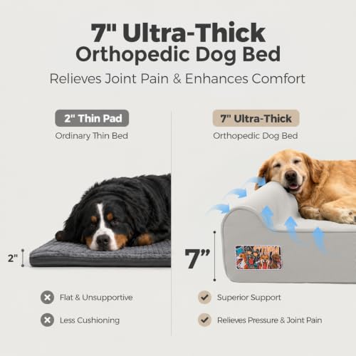 Orthopedic Dog Beds for Extra Large Dogs (XX-Large / Canvas-Grey)