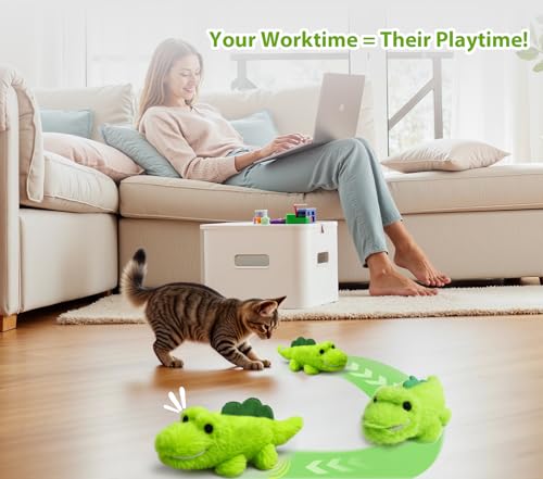 Interactive Cat Toys for Indoor Cats (Plush)