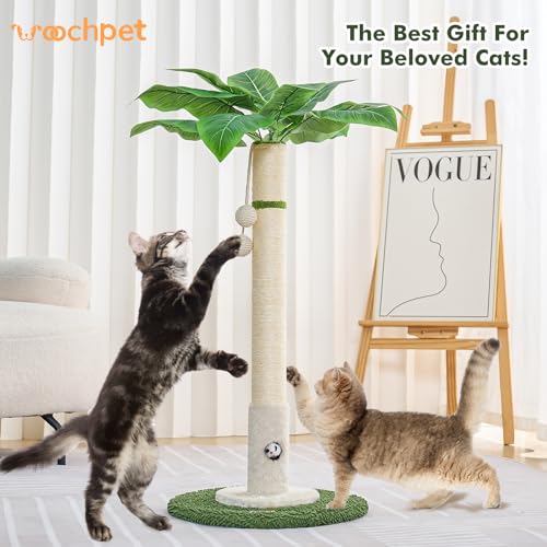 Cat Scratching Post for Indoor Cats (35.4-White / 35.4in)