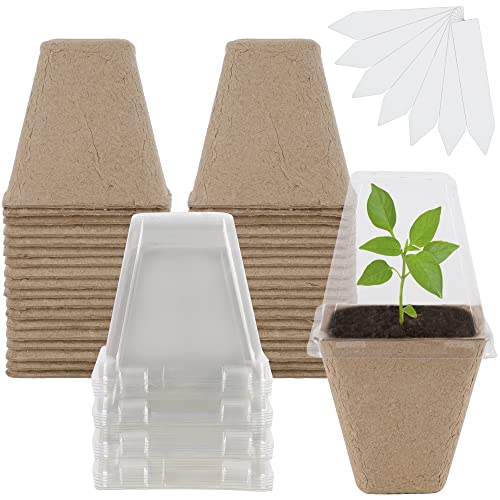Seed Starter Peat Pots (Square)
