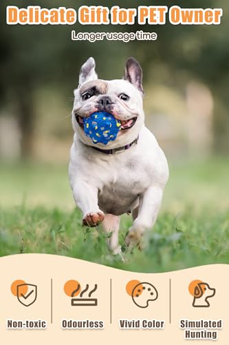 Dog Tennis Balls for Aggressive Chewers (Yellow+Blue-Large-Mixed)