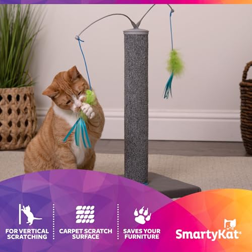 Scratch 'N Spin Carpet Cat Scratching Post with 2 Spinning Wand Toys (4 wands + post)