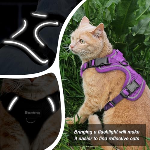 Cat Harness and Leash for Walking (Purple / X Small (4-6lb))