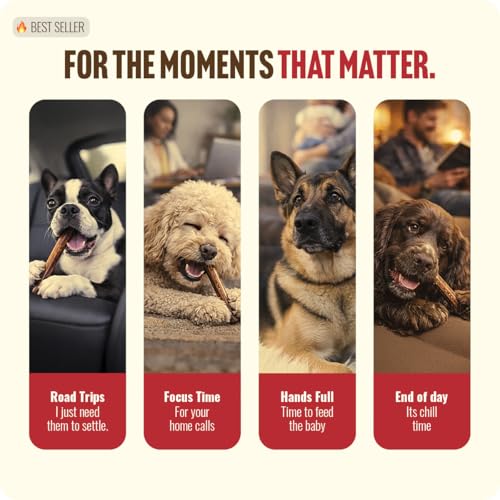 Odor Free Bully Sticks for All Breeds (6" Standard - 15 Count)