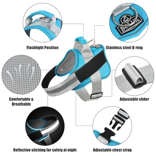 Dog Harness No (X-Small (Pack of 1) / OceanicBlue)