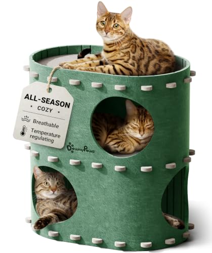 Cat House for Indoor Cats (Forest / Double)