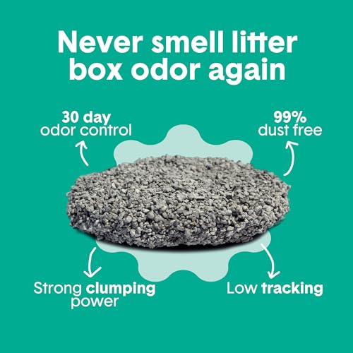Boxie Premium Scented Clumping Cat Litter 30+ Day Odor Control 28 lb (28 lb)