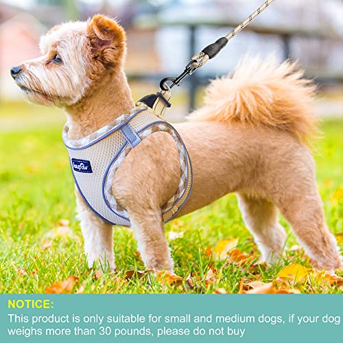 Dog Harness with Leash Set (XL / Beige)