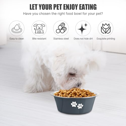 Stainless Steel Dog Bowls (Grey / 3.6 Cups/29 OZ)