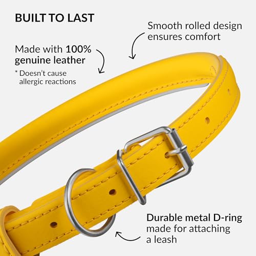 Tangle Free Reflective Leather Dog Collar (Yellow / L)
