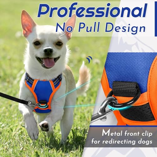 Dog Harness for Small Dogs (X-Small / Blue & Orange)