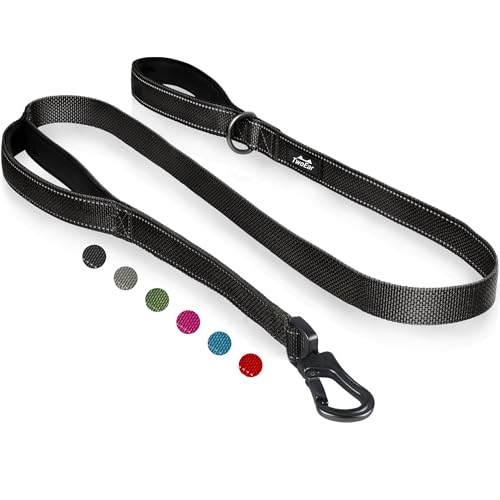 4FT 1IN Heavy Duty Dog Leash for Large Dogs with 2 Padded Handles (Black / 1 in x 4 ft)