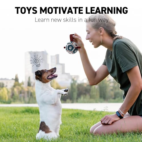 Small Dog Toys (Red-Blue / Extra Small Size 0 (3.5 Inch))