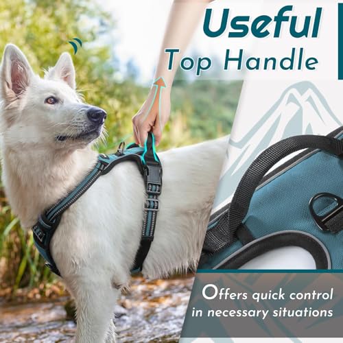 Dog Harness for Small Dogs (Small / Dark Green)