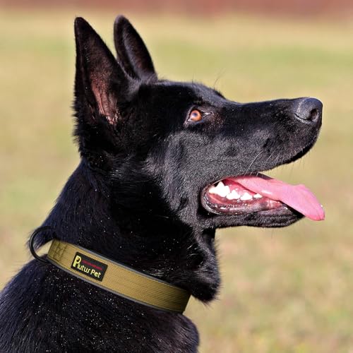 Tactical Dog Collar (S / Brown)