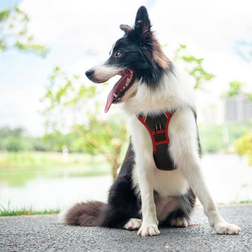 Upgraded No Pull Dog Harness (Black / Extra Large)