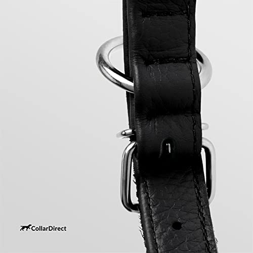 Tangle Free Rolled Leather Dog Collar (Black / M)