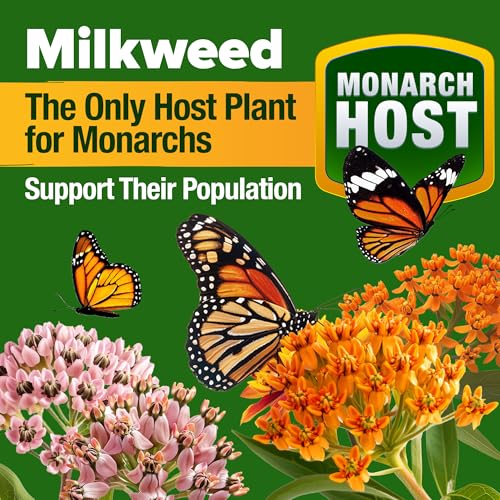 Monarch Butterfly Wildflower Mix Seeds