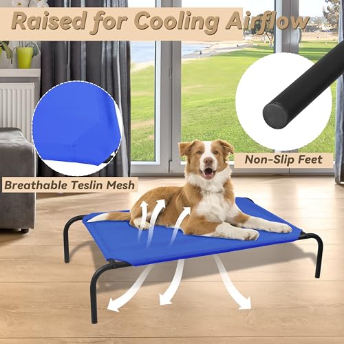 Elevated Dog Bed for Medium Dogs (Medium / Blue)
